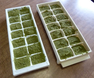 use of ice trays to freeze extra pesto