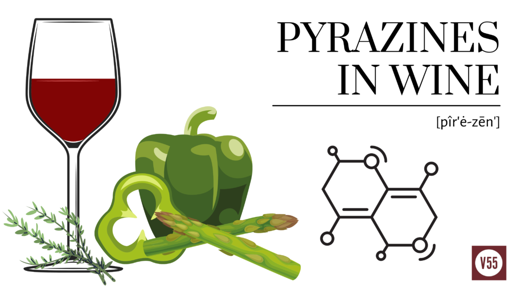 image of a pyrazine and a bell pepper and wine