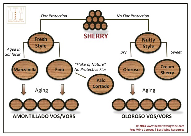 sherry infographic