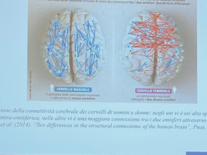 brain image when looking at a wine label