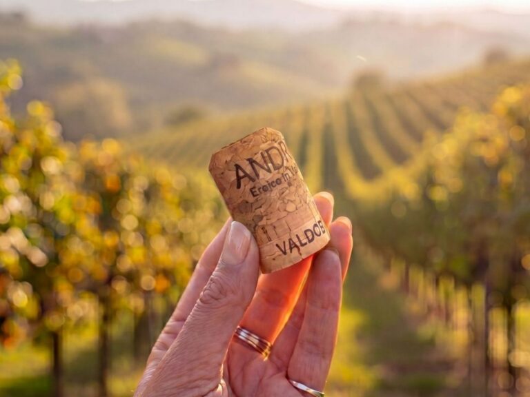 Andreola cork being held in vineyard