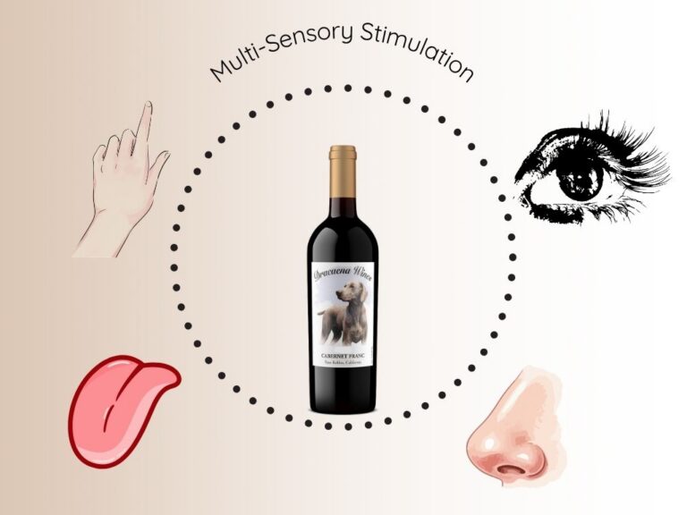 diagram showing wine reacting with different senses